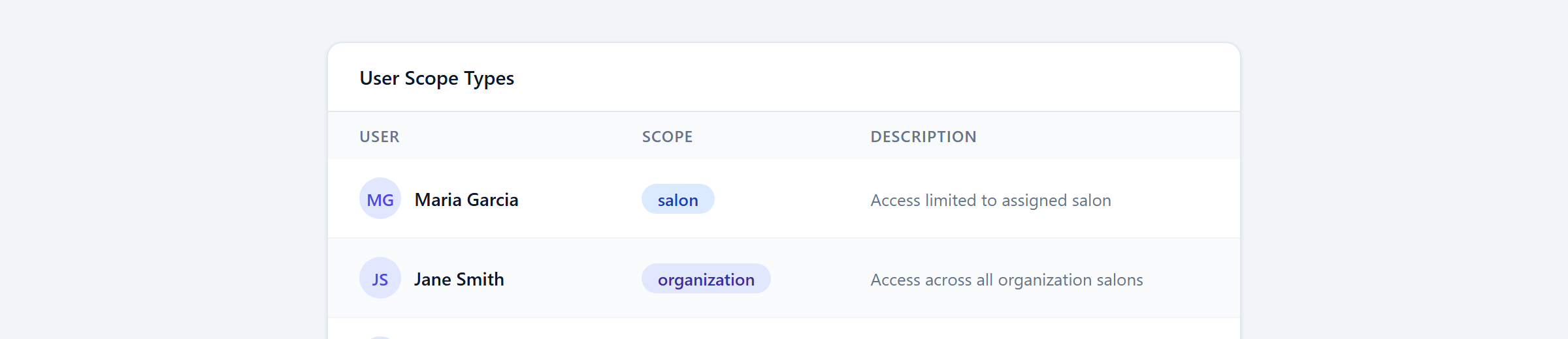 Close-up of scope badges showing Salon, Organization, and System variants